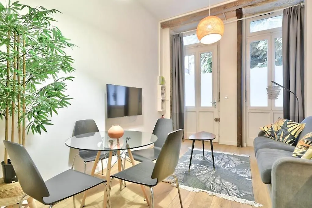 Lovely Apartment With Balneo Lyon France