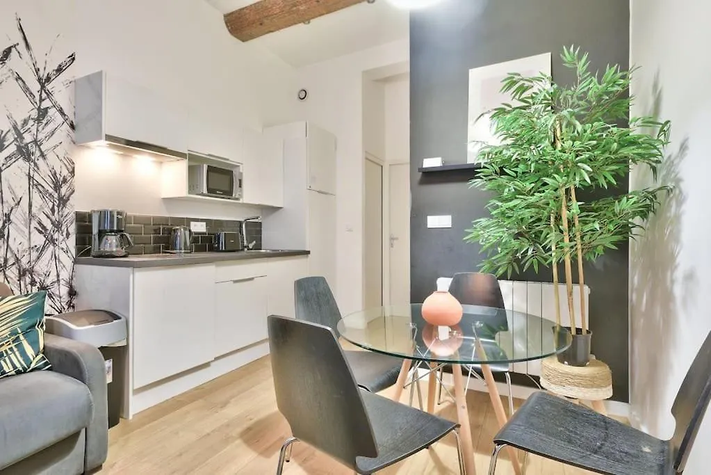 Lovely Apartment With Balneo Lyon
